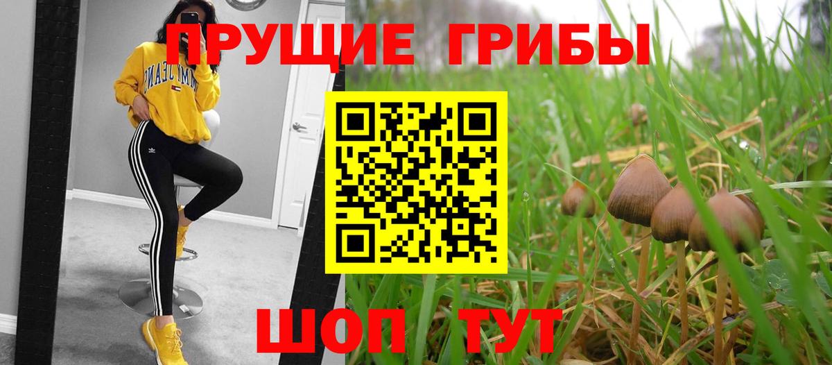 Псилоцибиновые грибы ЛСД  Псилоцибиновые грибы Magic Shrooms  Гулькевичи  Вход с VPN 